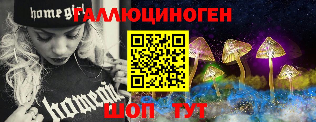 Псилоцибиновые грибы мицелий  Вход с VPN  купить наркотики цена  Егорьевск  Псилоцибиновые грибы прущие грибы 