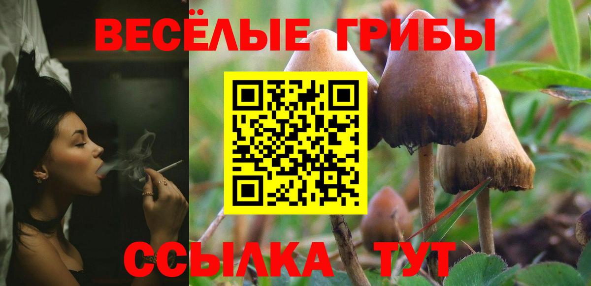 Псилоцибиновые грибы мицелий Егорьевск